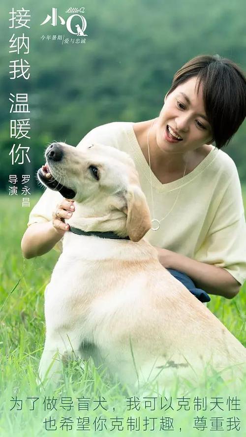 仿制尚美学园大学毕业证